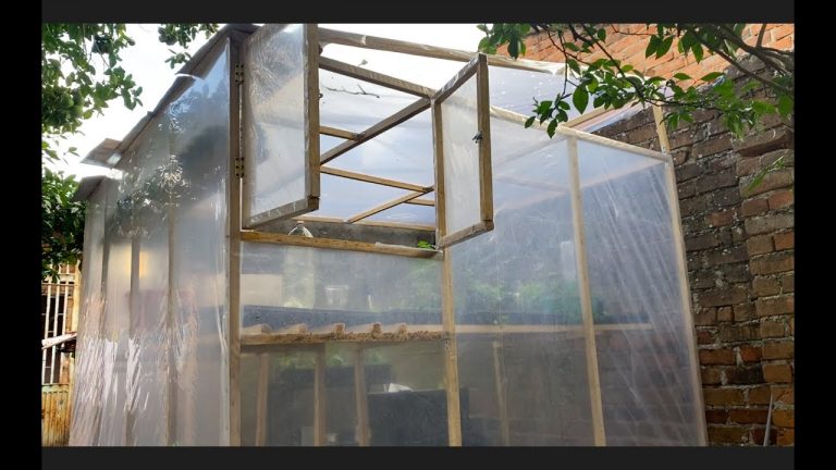 Crear invernadero en casa
