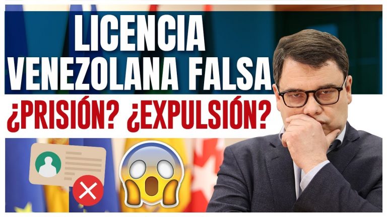 Crear carnet de conducir falso