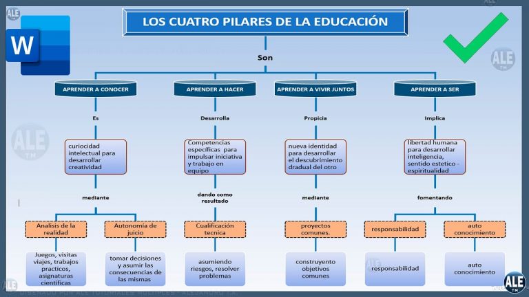Crear mapa conceptual