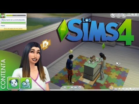 Crear clinica veterinaria sims 4