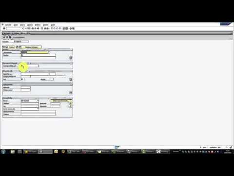 Crear proveedor en sap