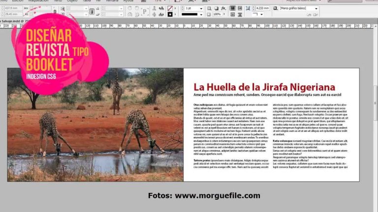 Crear booklet