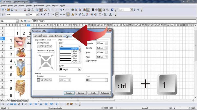 Crear autodefinidos
